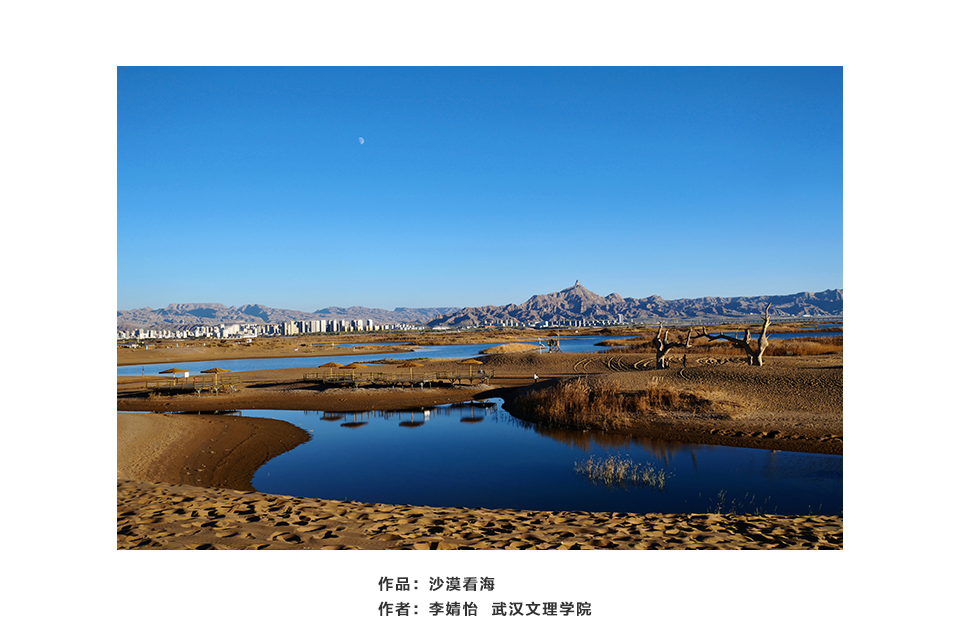 沙漠看海